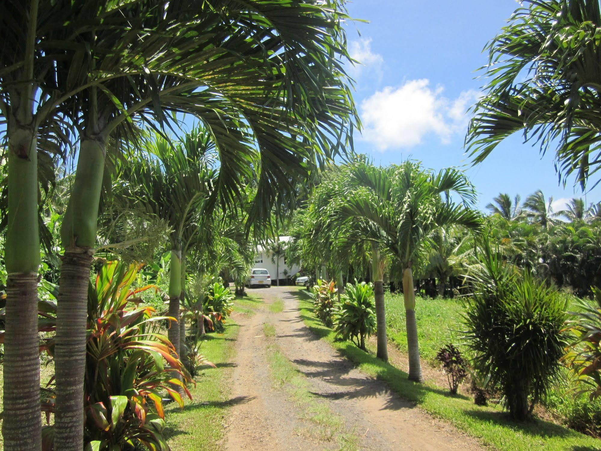 Muri Lagoon View Bungalows - Hillside Bungalow 拉罗汤加 外观 照片